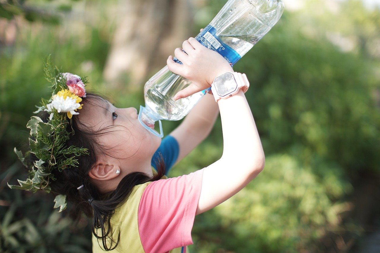 1 Litre Bottle Of Water में लगभग कितने प्लास्टिक के टुकड़े होते हैं?